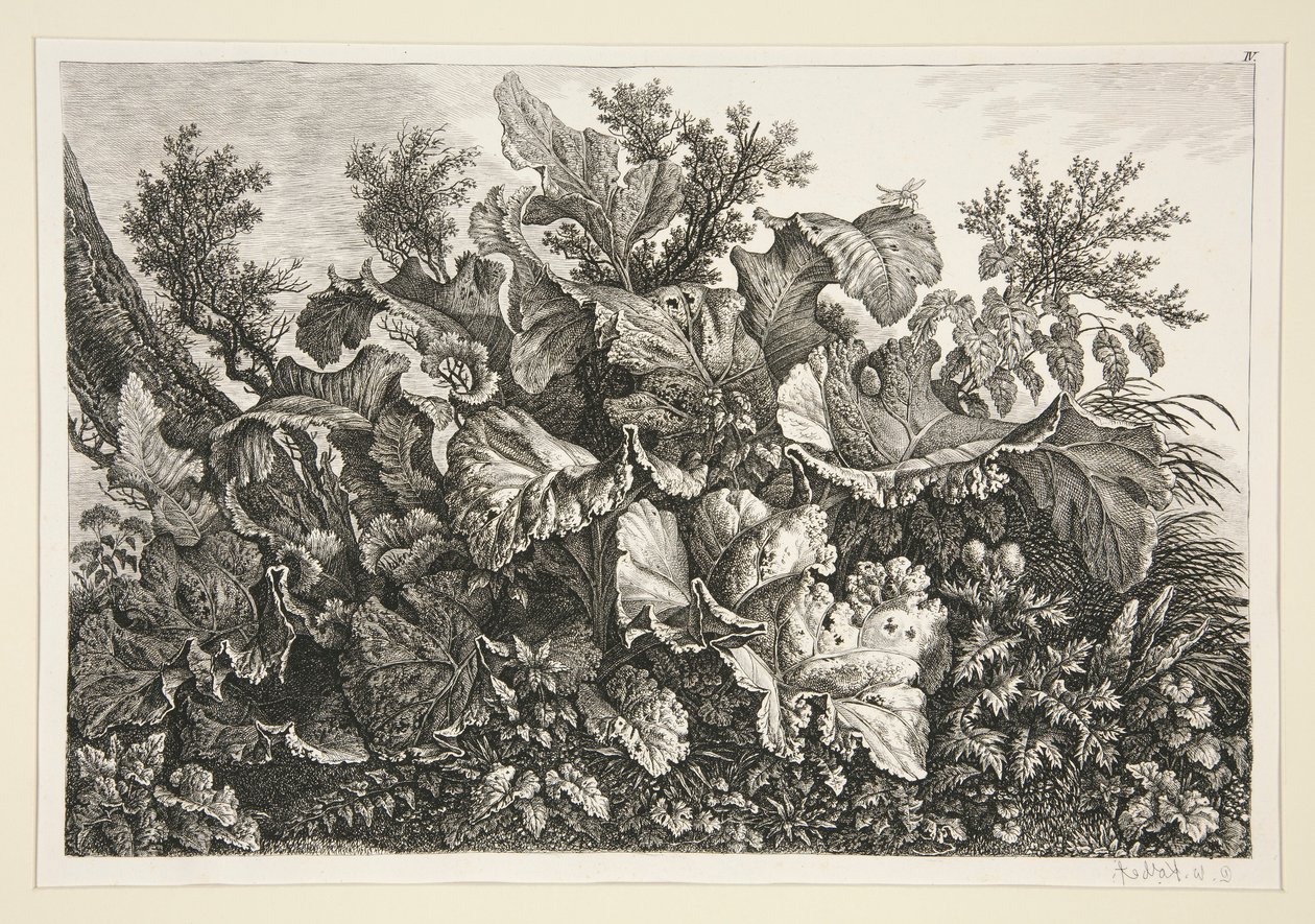 Landschap door Carl Wilhelm Kolbe the elder