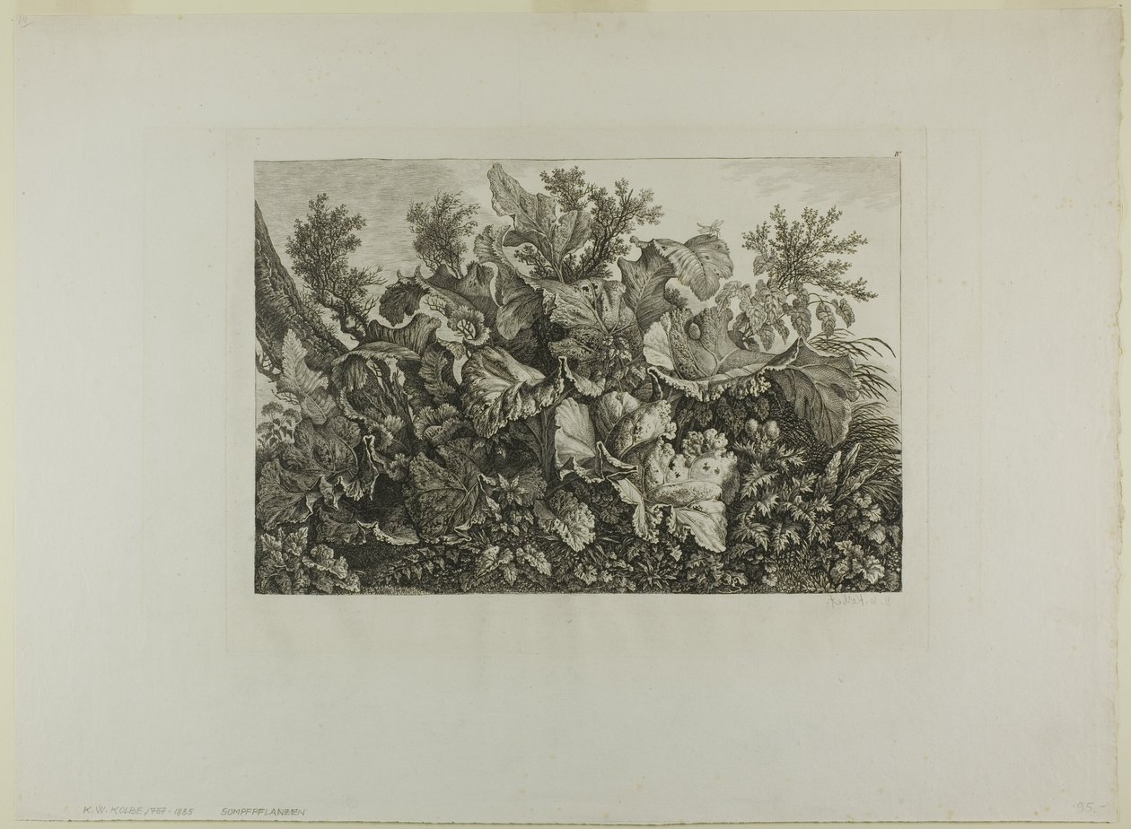 Moerasplanten door Carl Wilhelm Kolbe, the elder