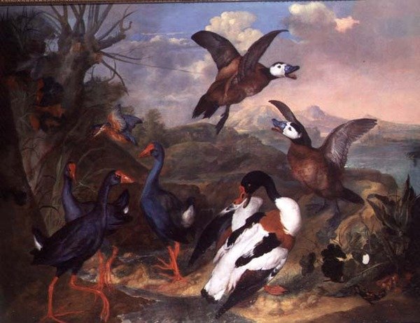 Vogels in een landschap door Carl Wilhelm de Hamilton