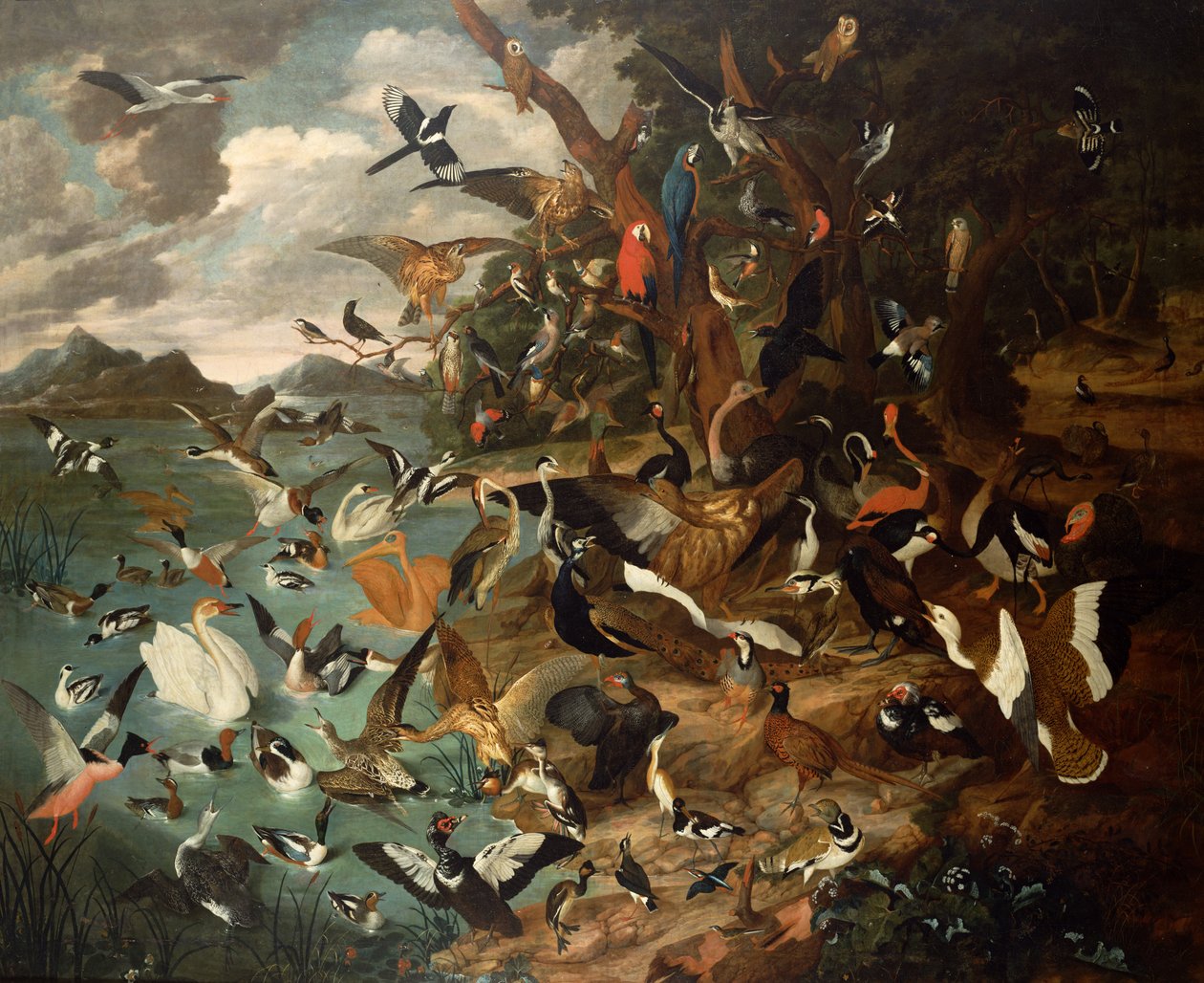 Het Parlement van Vogels door Carl Wilhelm de Hamilton