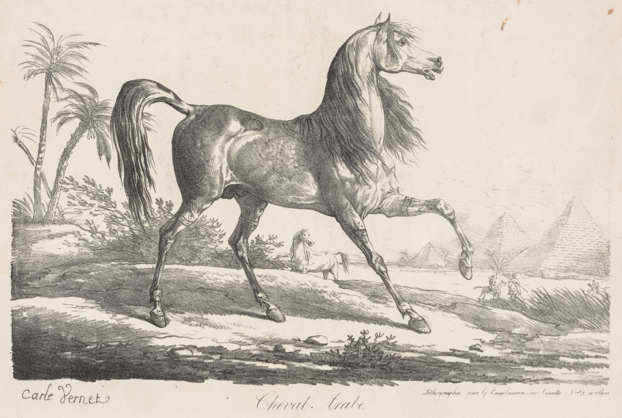 Suite de Chevaux: Arabisch Paard door Carle Vernet