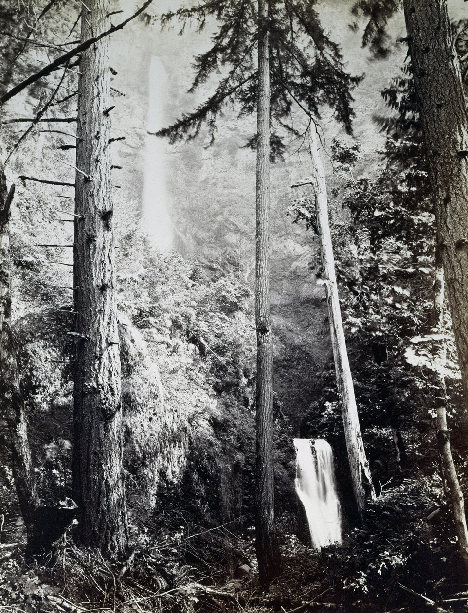 Multnomah Watervallen, Cascades, Columbia River door Carleton E. Watkins