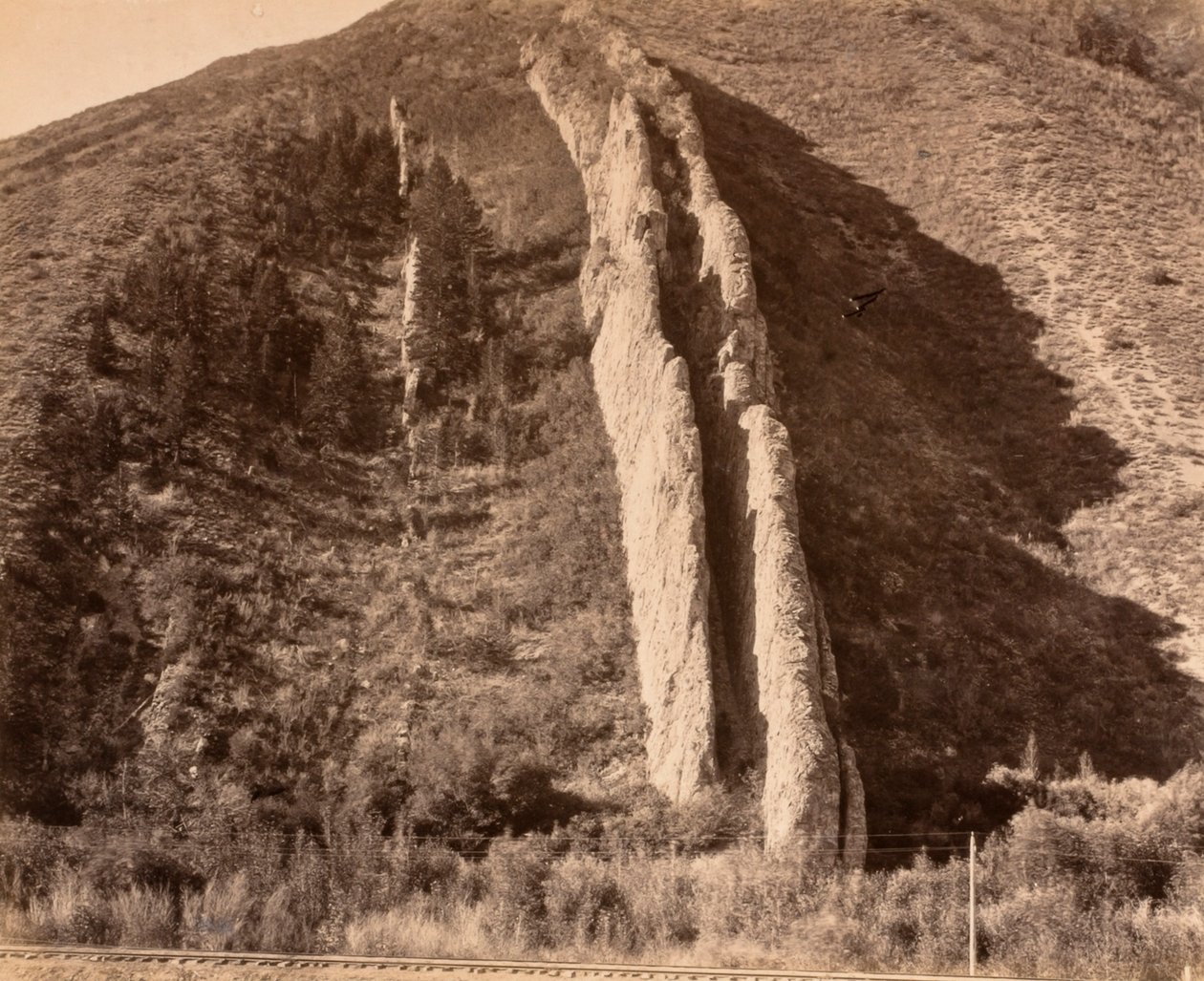 Duivelsglijbaan door Carleton E. Watkins