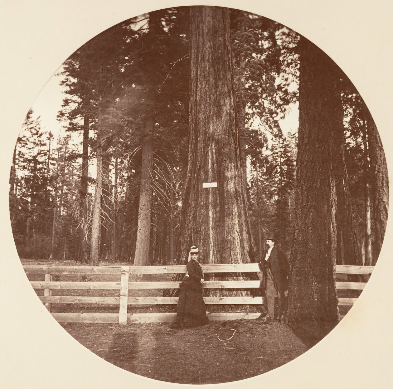 Auld Reckie door Carleton Emmons Watkins