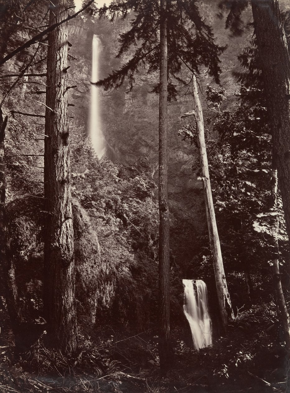 Multnomah Falls, Oregon, 1867 door Carleton Emmons Watkins
