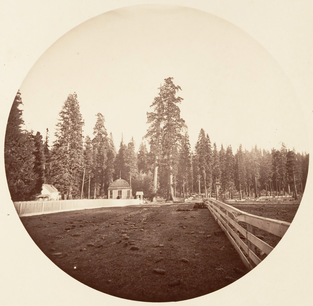 De wachters door Carleton Emmons Watkins