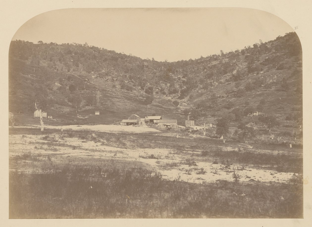 Bear Valley Molen door Carleton Watkins