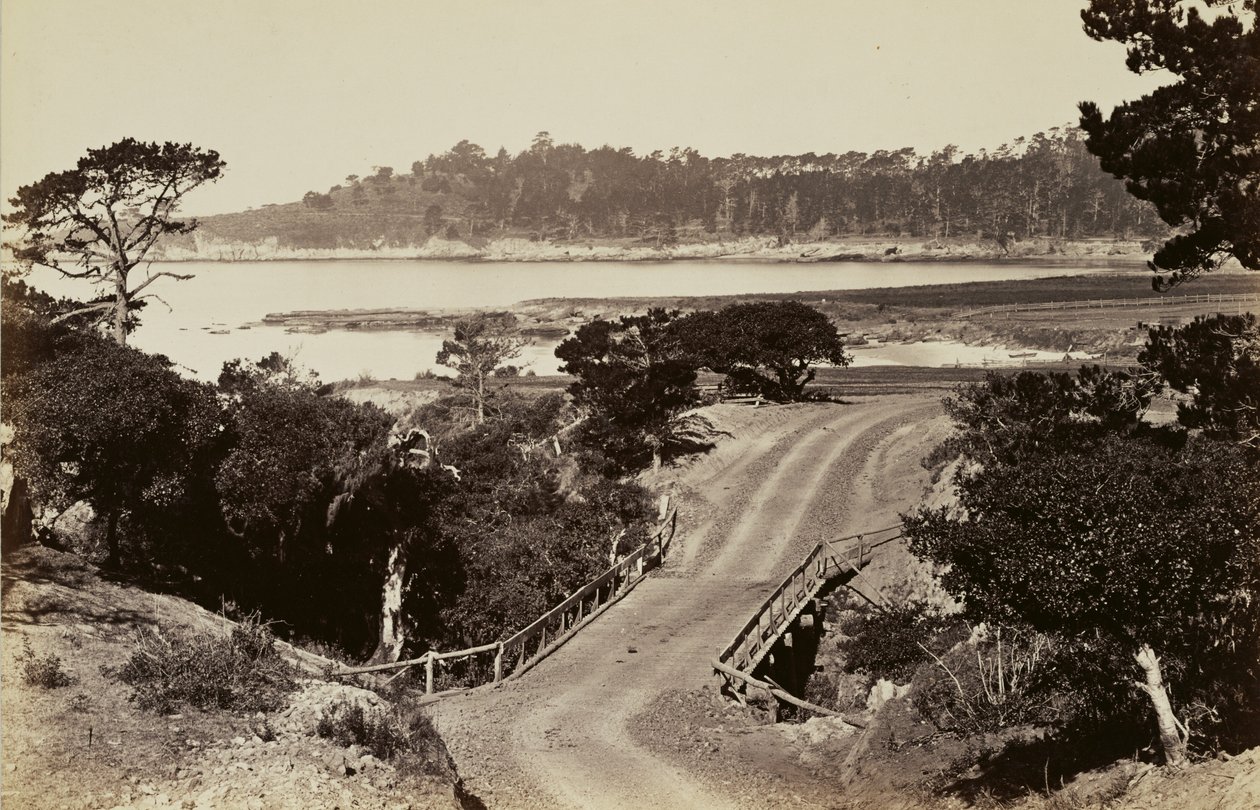 [Kustgezicht bij Monterey] door Carleton Watkins