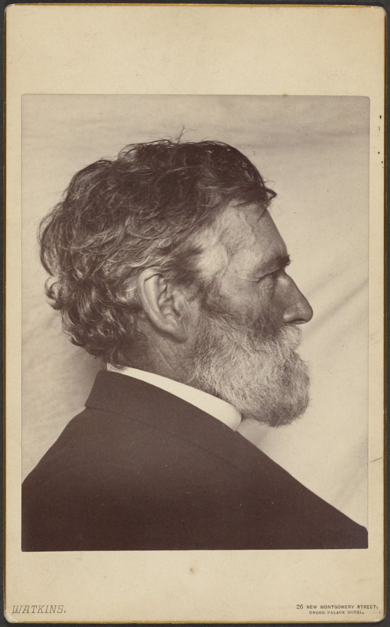 Portret van George Davidson door Carleton Watkins