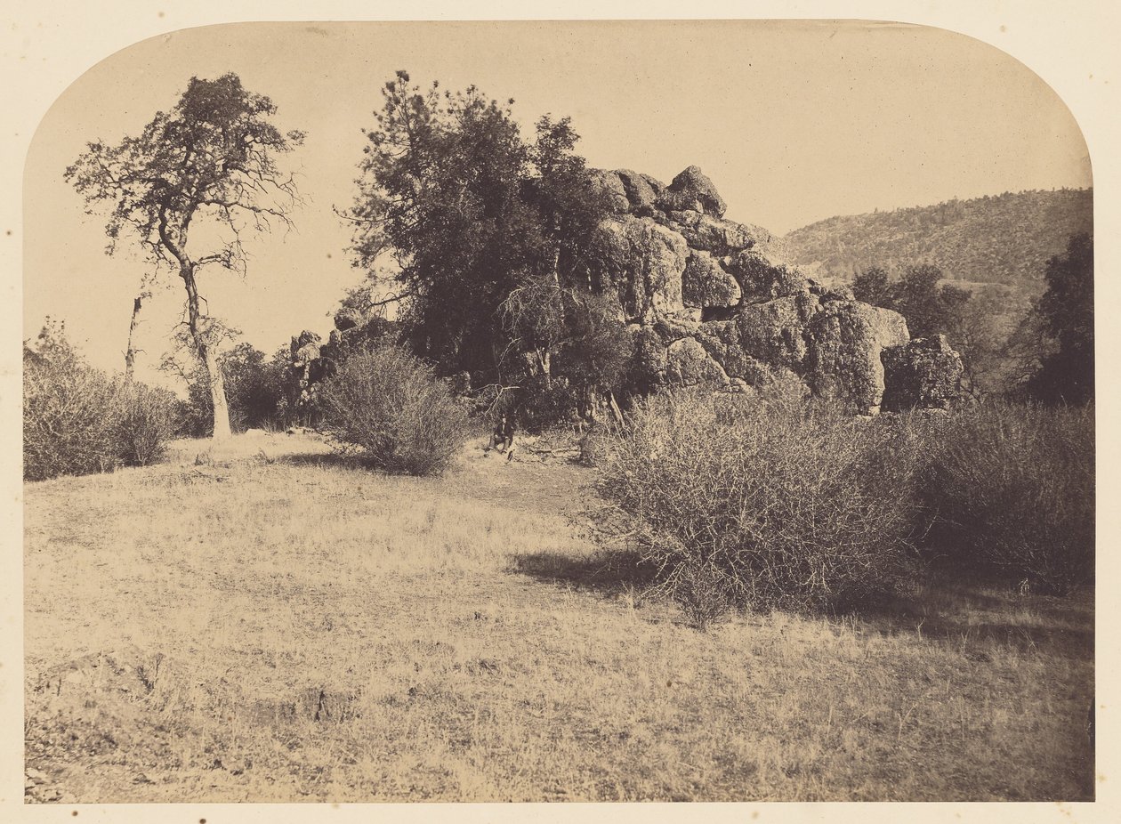 [Torenrots - Noordelijk Uitzicht]. door Carleton Watkins