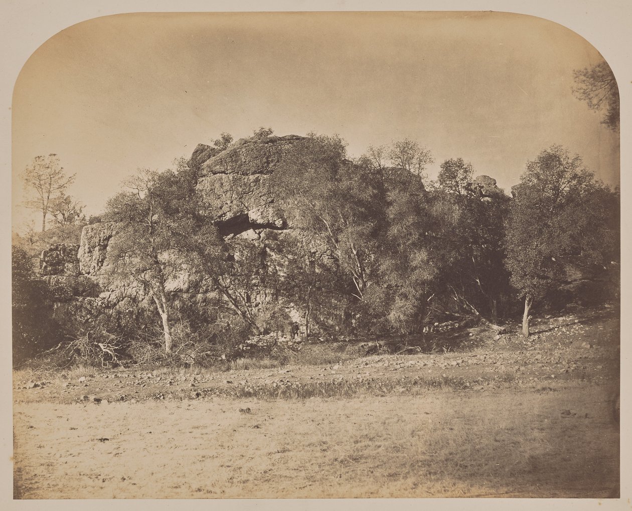[Torenrots - West] door Carleton Watkins