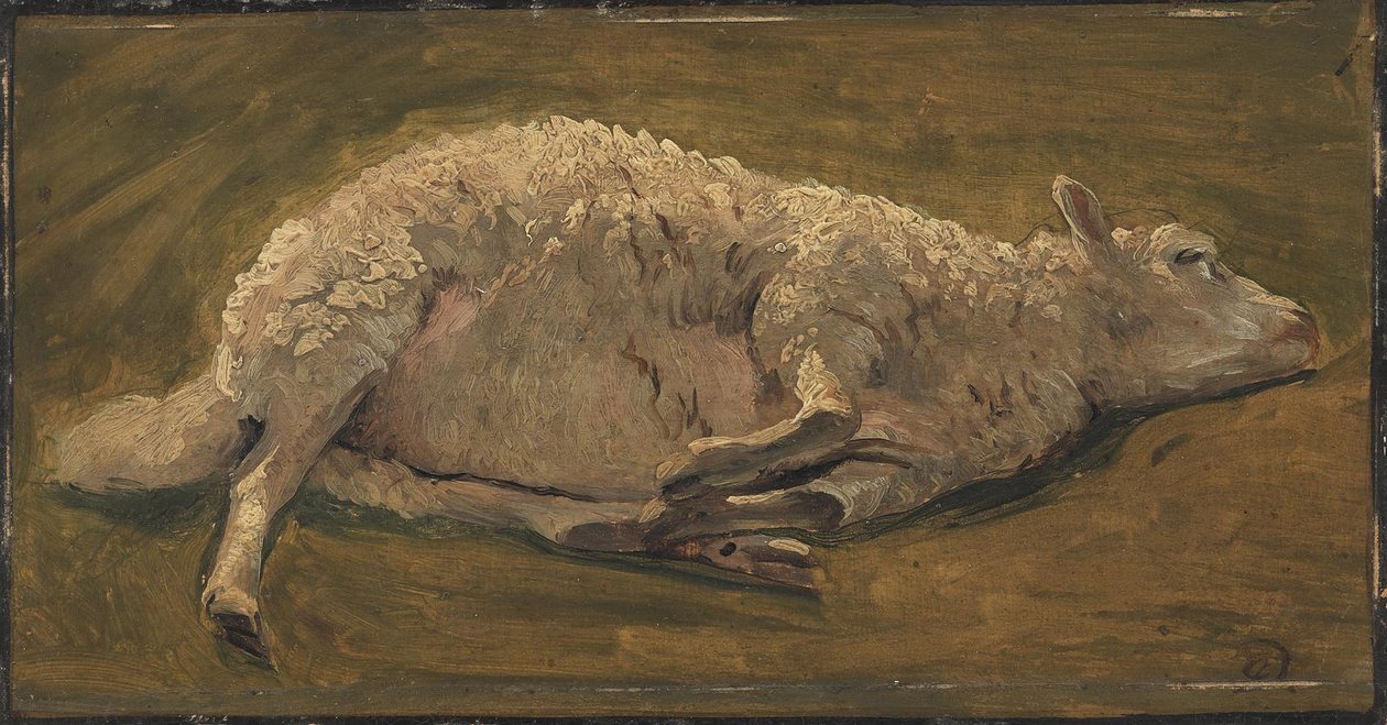 Studie van een liggend schaap door Carlo Dalgas
