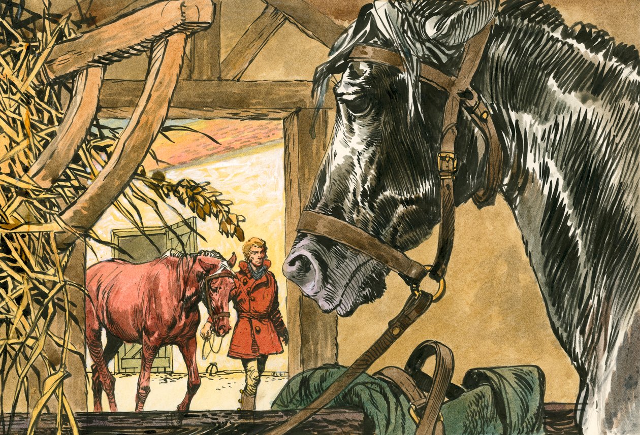 Zwarte Schoonheid door Carlos Gabriel Roume