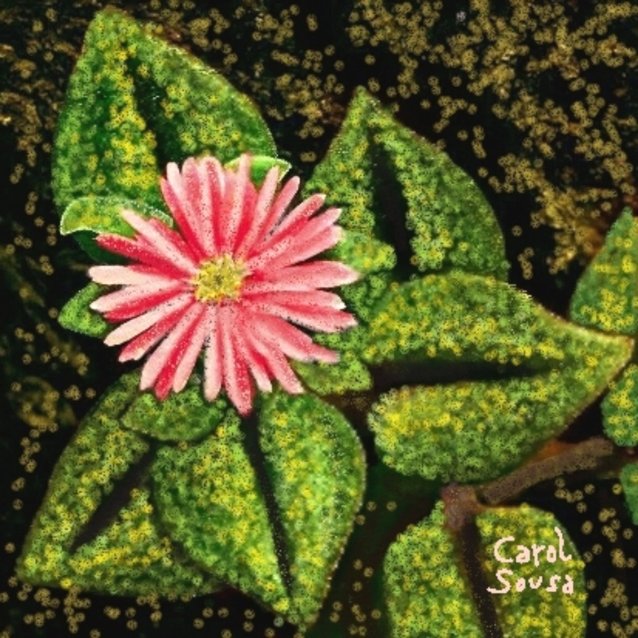 Wilde bloem door Carol Sousa Cuello