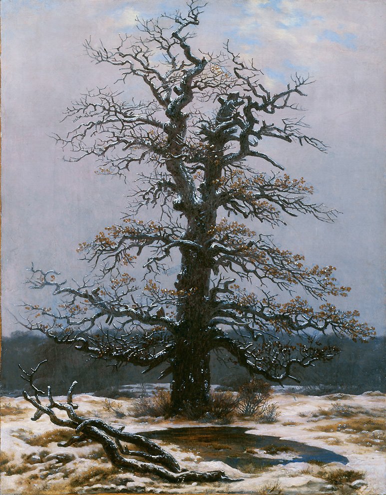 Eik in de sneeuw door Caspar David Friedrich