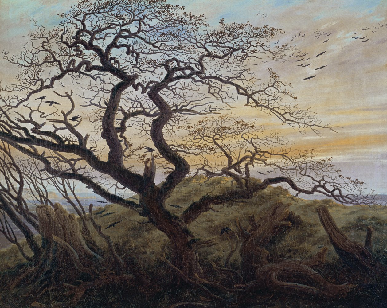 De Boom van Kraaien door Caspar David Friedrich