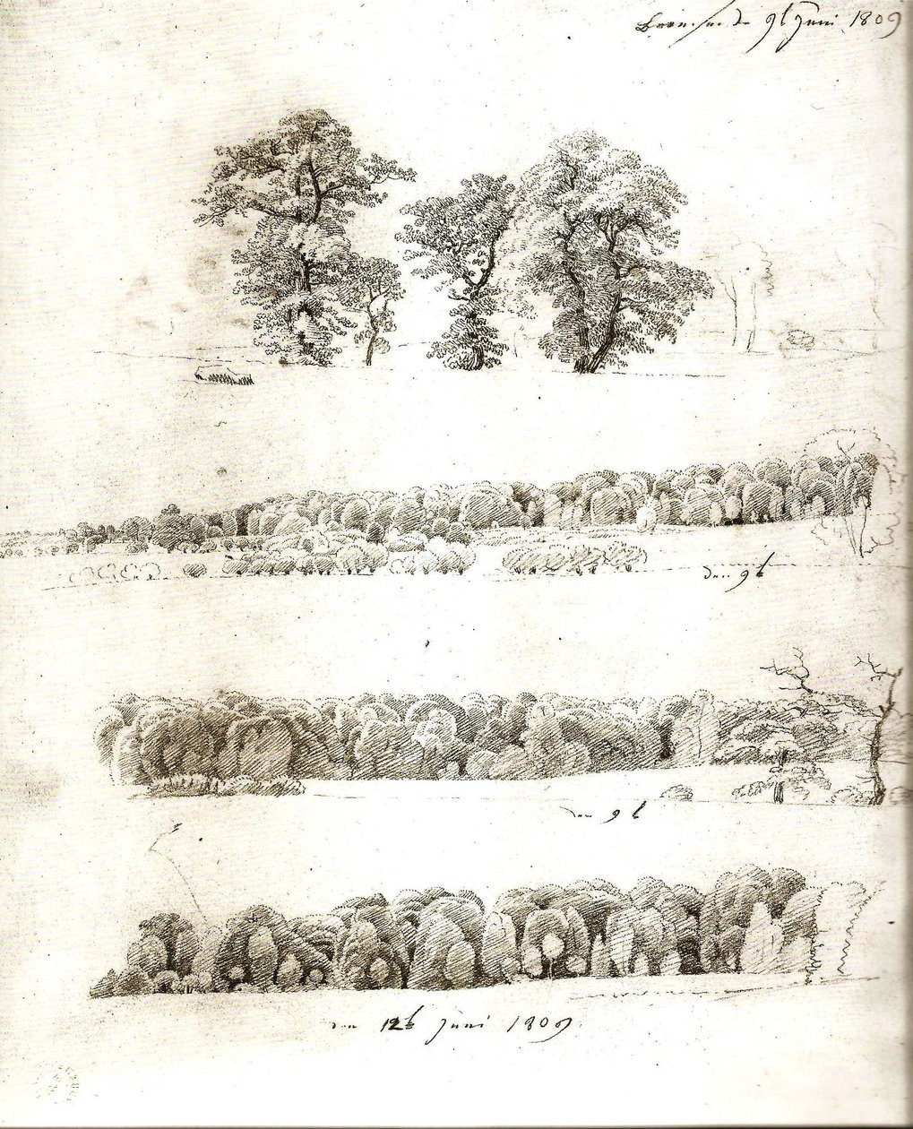Boomstudies 1809 door Caspar David Friedrich