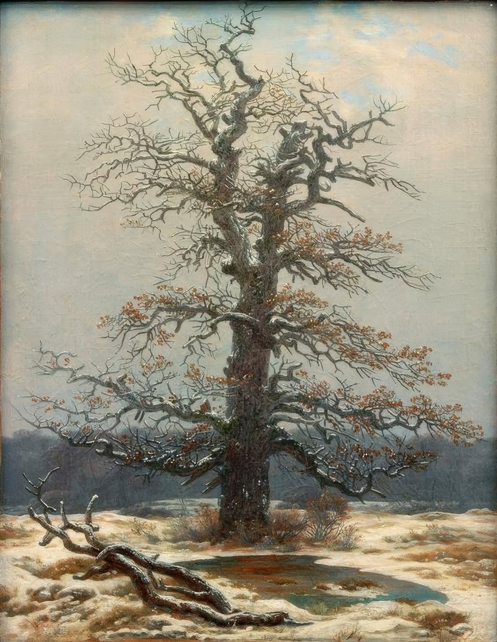 Eik in de sneeuw door Caspar David Friedrich
