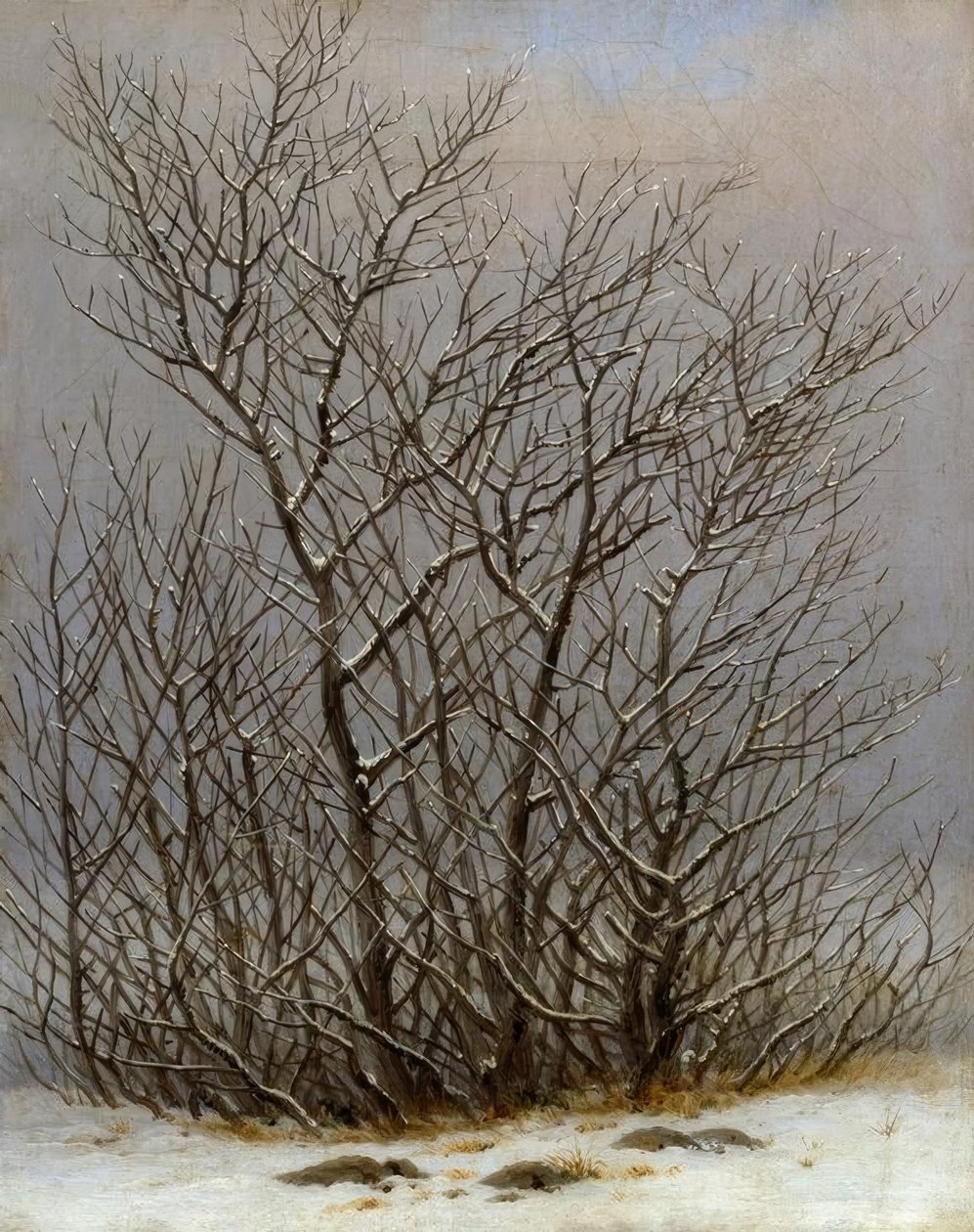 Struikgewas in de sneeuw door Caspar David Friedrich