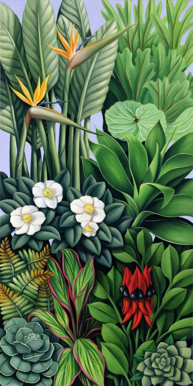 Blad II door Catherine Abel