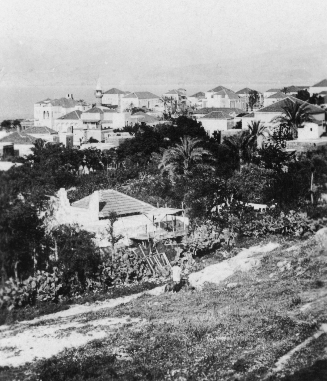 Beiroet vanaf het American College, Libanon, ca. 1927-1931 door Cavanders Ltd