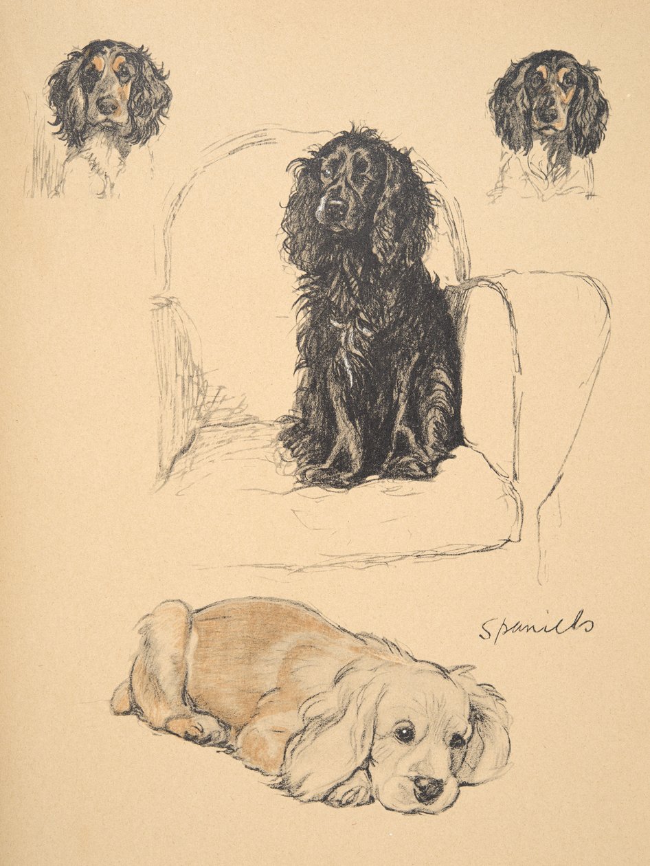 Spaniels, 1930, Illustraties uit zijn Schetsboek gebruikt voor 