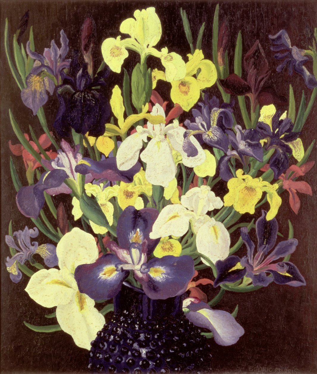 Groep Irissen, ca. 1940 door Cedric Morris