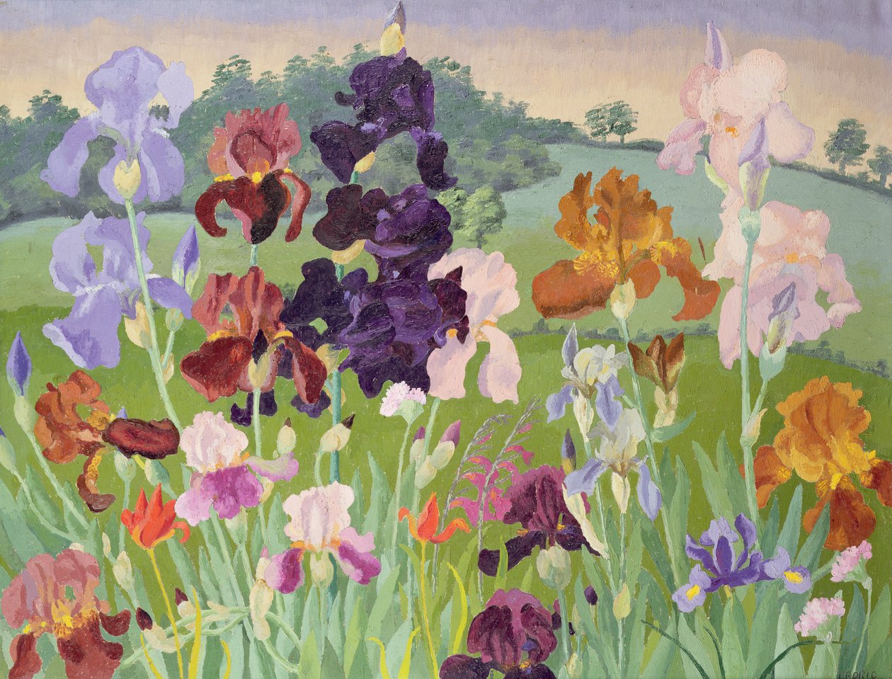 Verschillende Uitvindingen door Cedric Morris