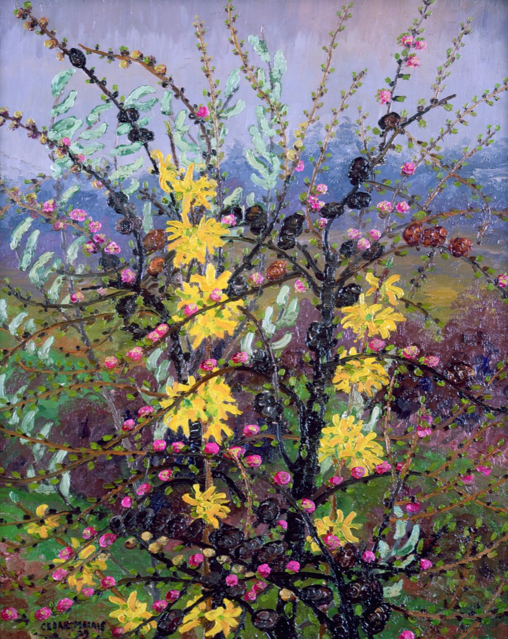 Struiken door Cedric Morris