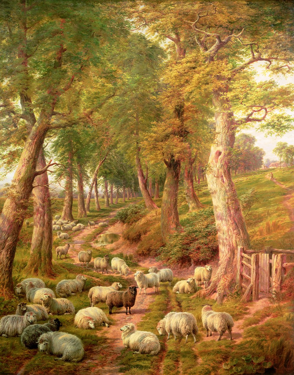 Landschap met Schapen door Charles Jones