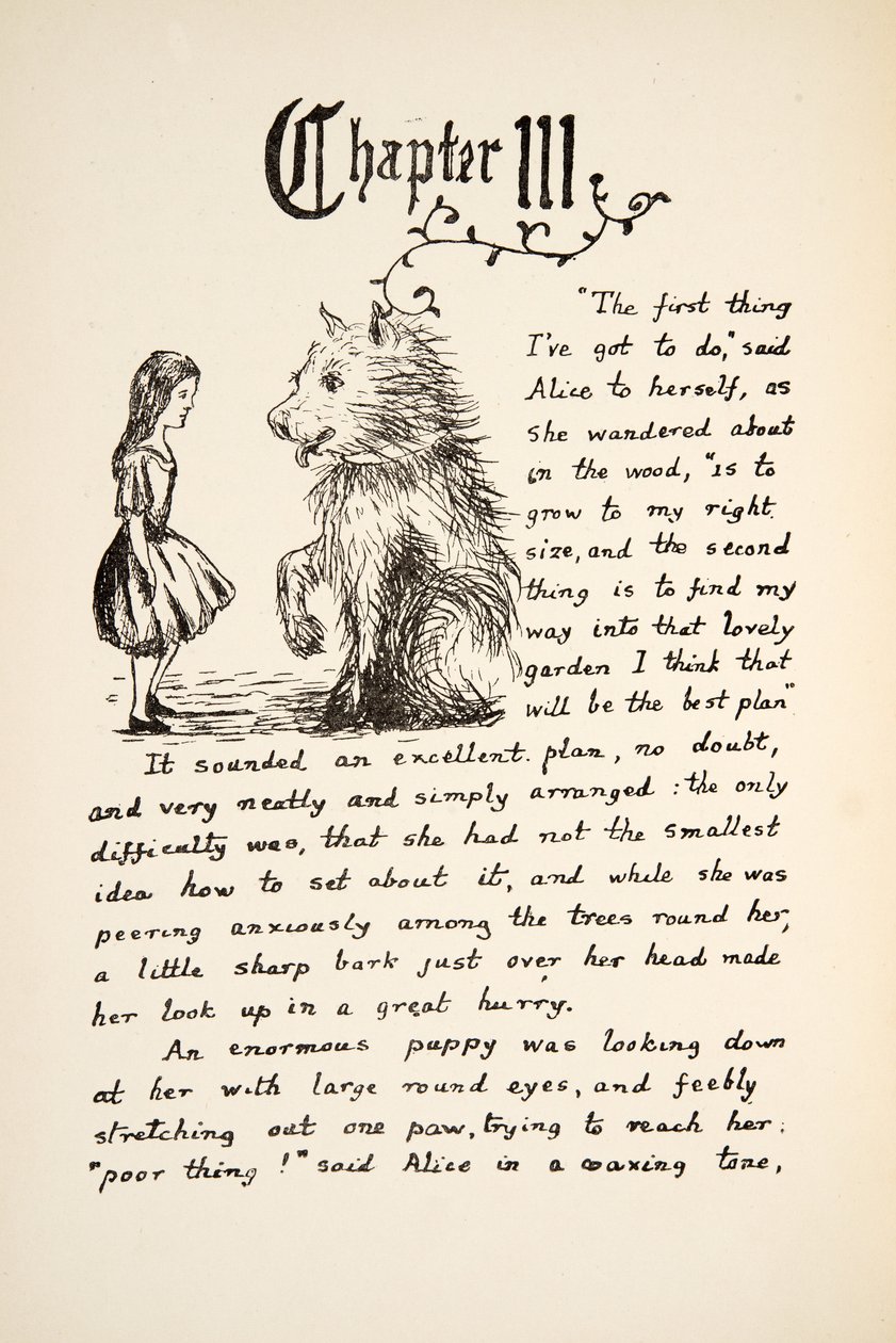Alice ontmoet de Puppy, illustratie uit Alice