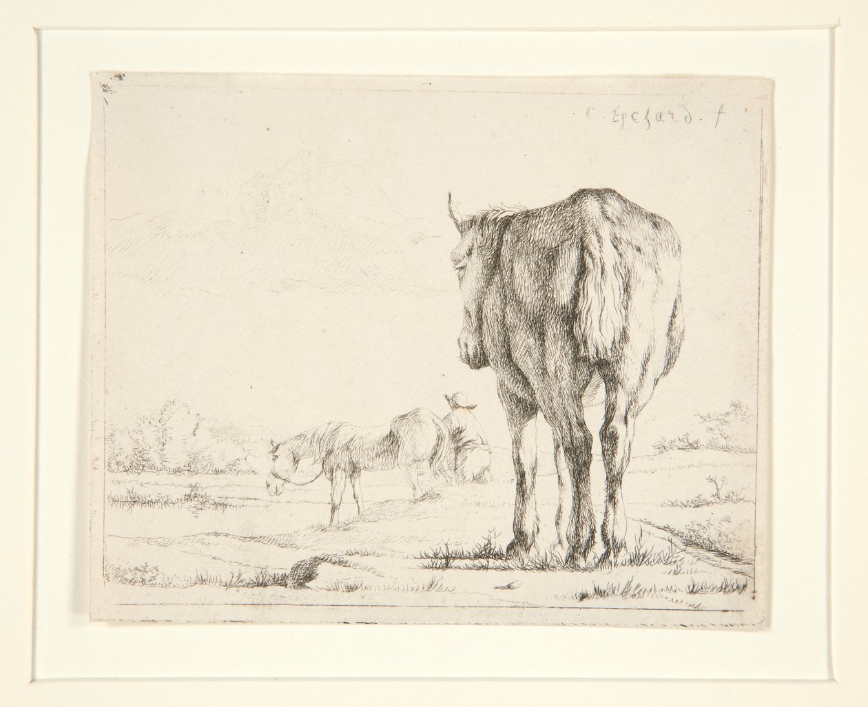Twee Grazende Paarden door Charles Echard
