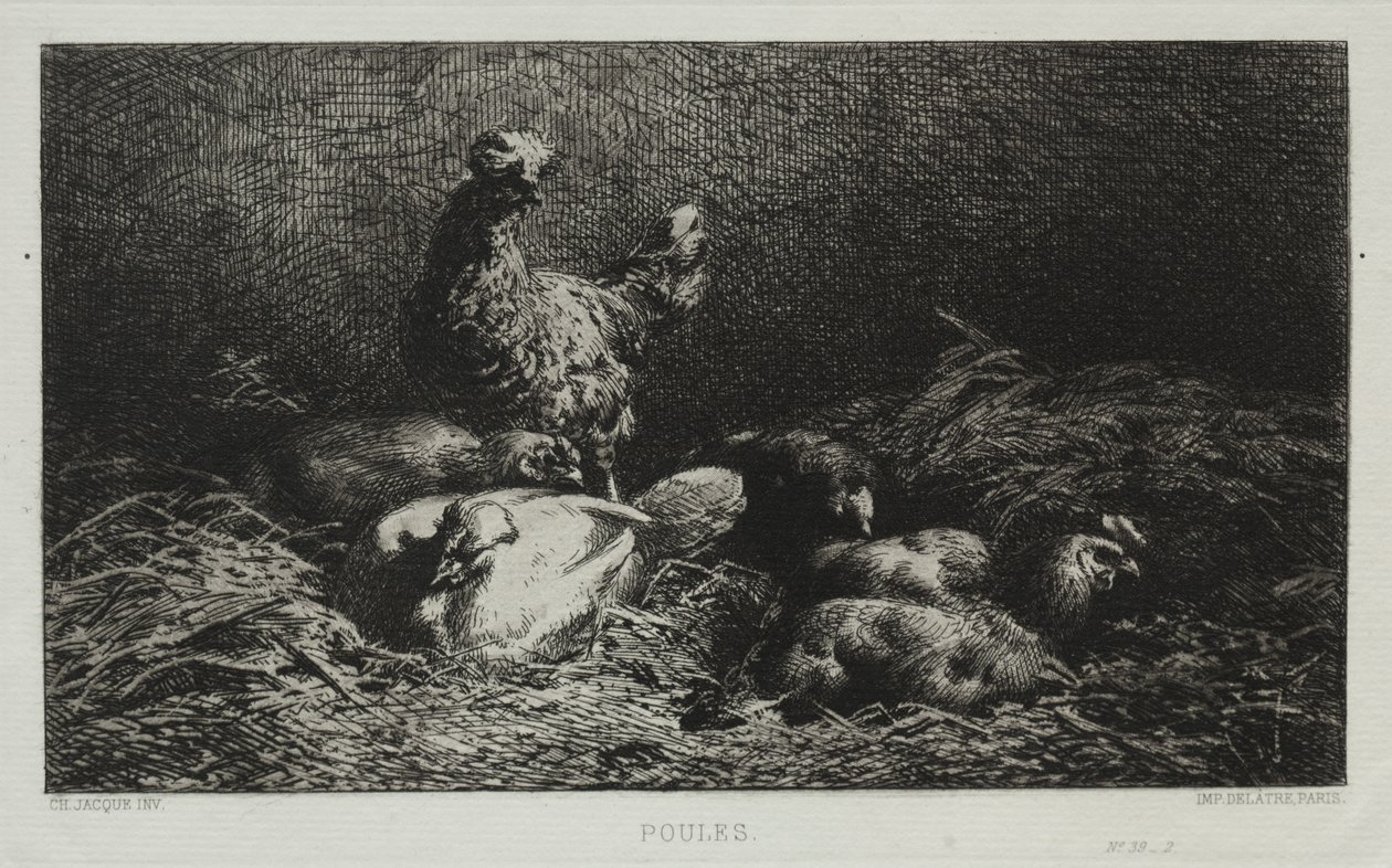 Kippen door Charles Emile Jacque