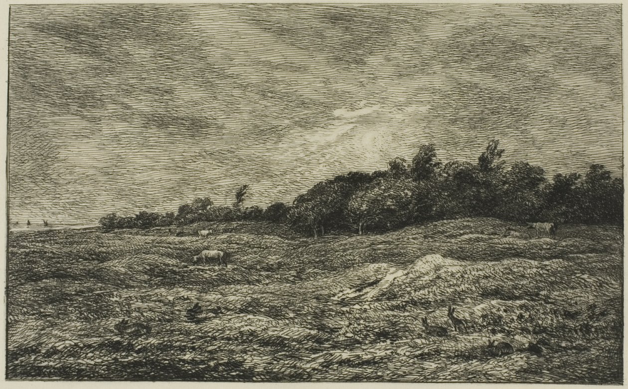 Le Pré des Graves in Villerville (Calvados) door Charles Francois Daubigny