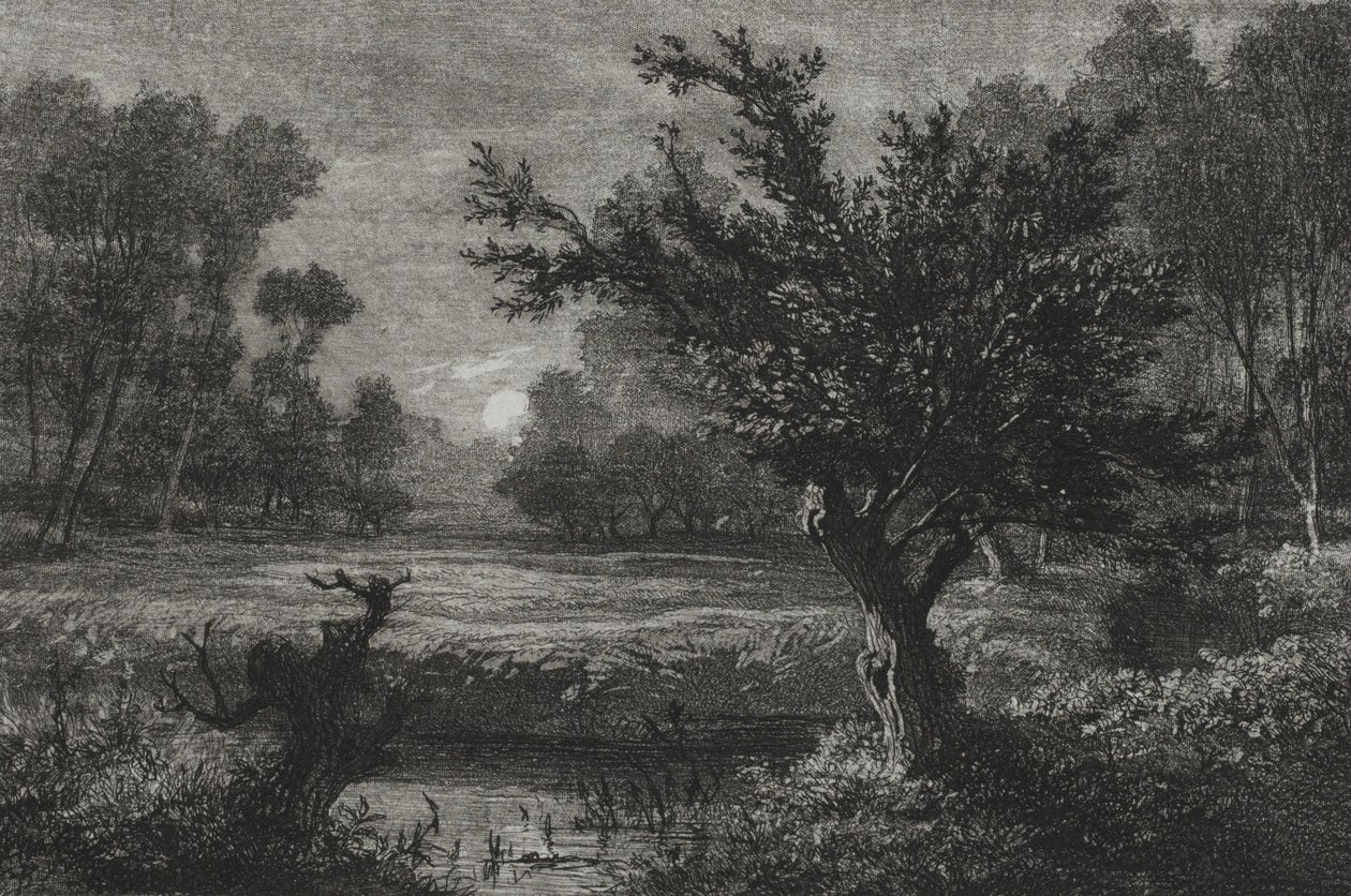 Maanopkomst in de Andilly-vallei door Charles Francois Daubigny