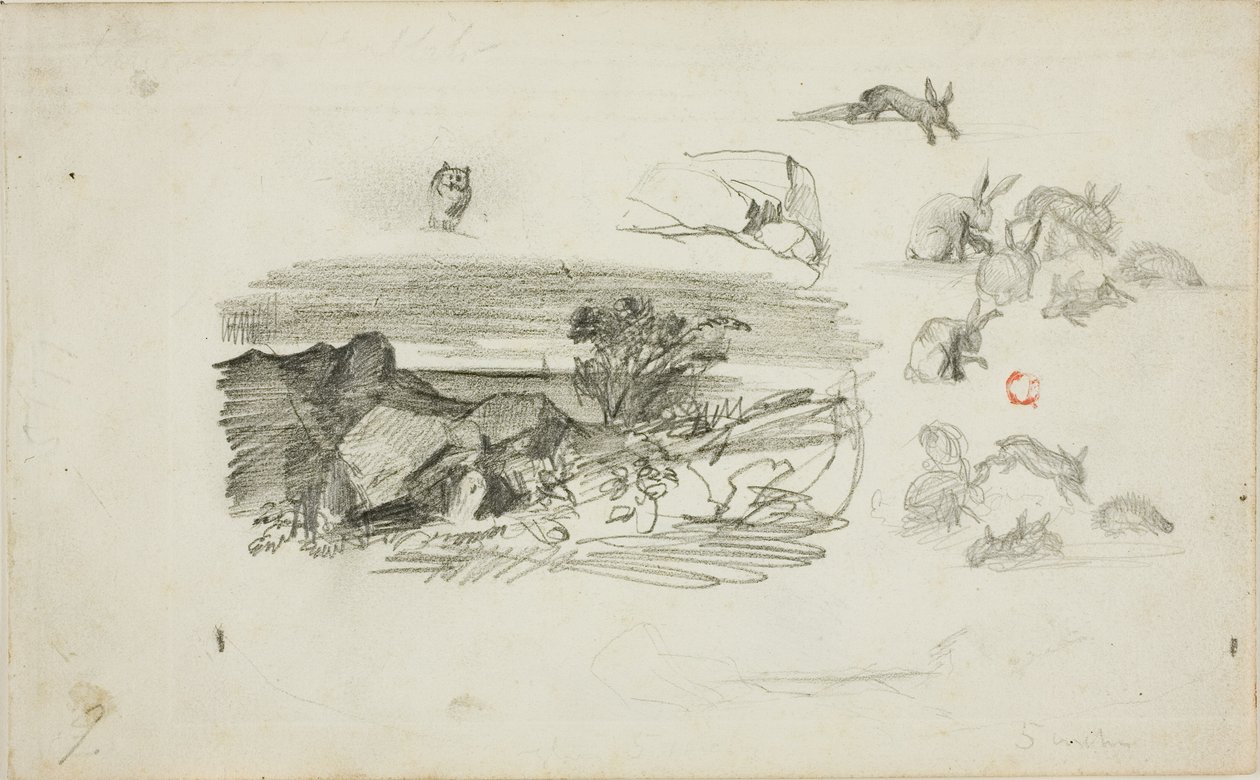 Schetsen: Rotsachtige omgeving en konijnen door Charles Francois Daubigny