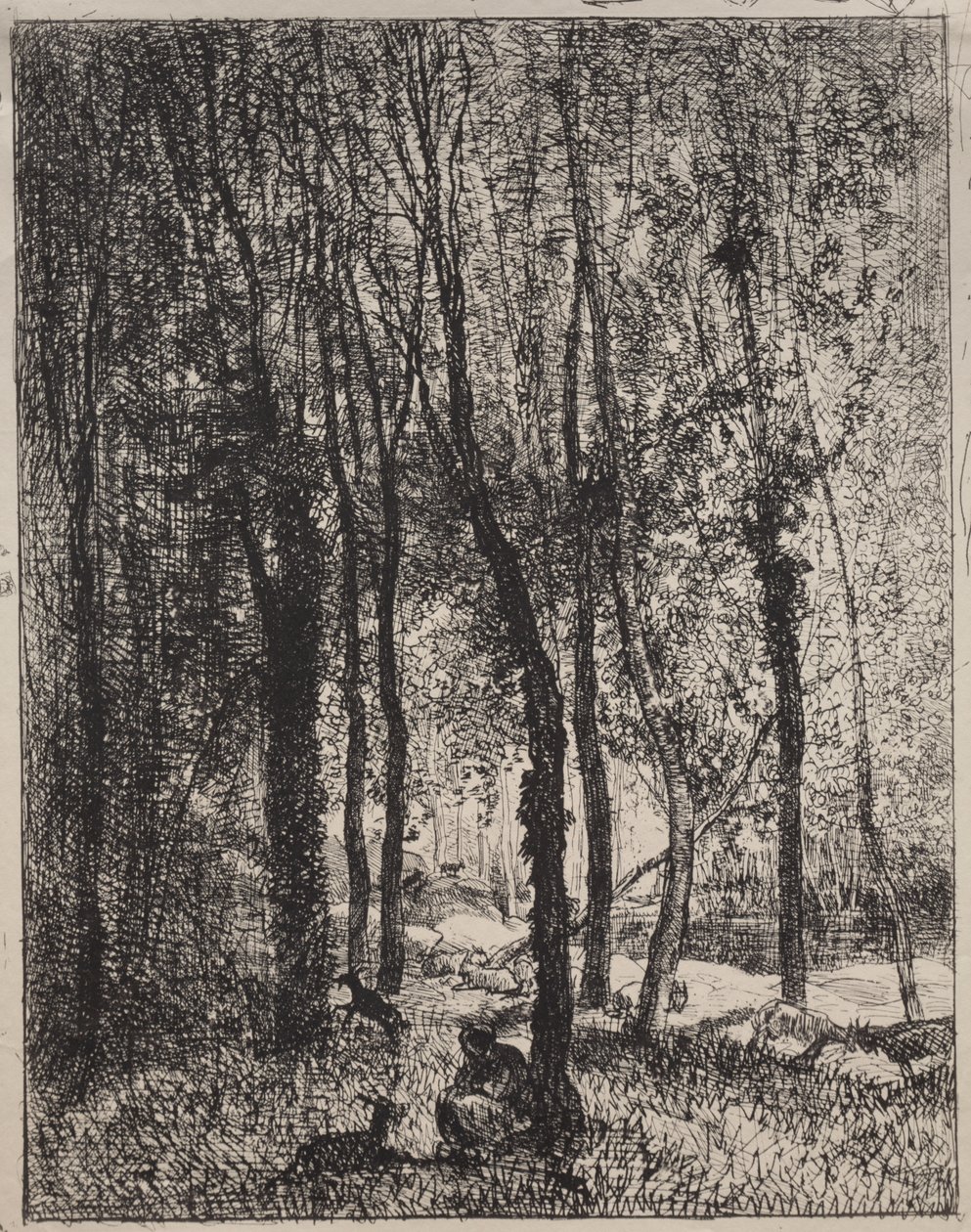 Het geitenhoedstermeisje door Charles Francois Daubigny