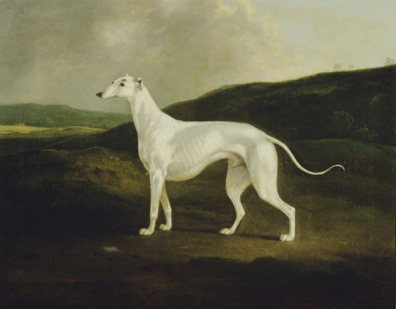 Een Windhond in een Landschap door Charles Henry Schwanfelder
