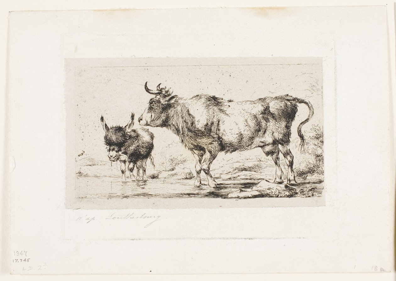 De koe en de ezel door Charles Meryon