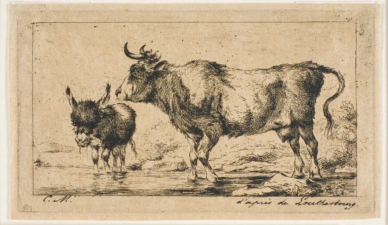 De Koe en de Ezel door Charles Meryon