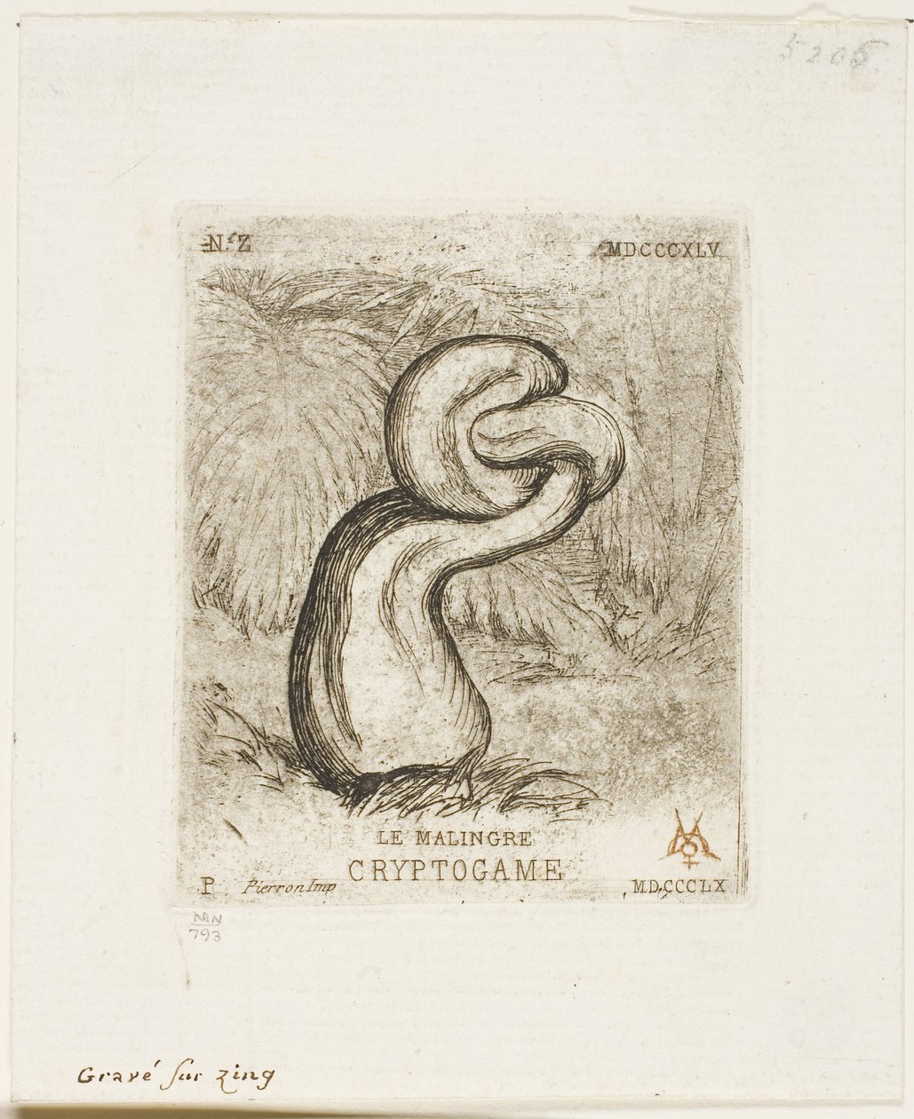 De Zieke Cryptogam door Charles Meryon