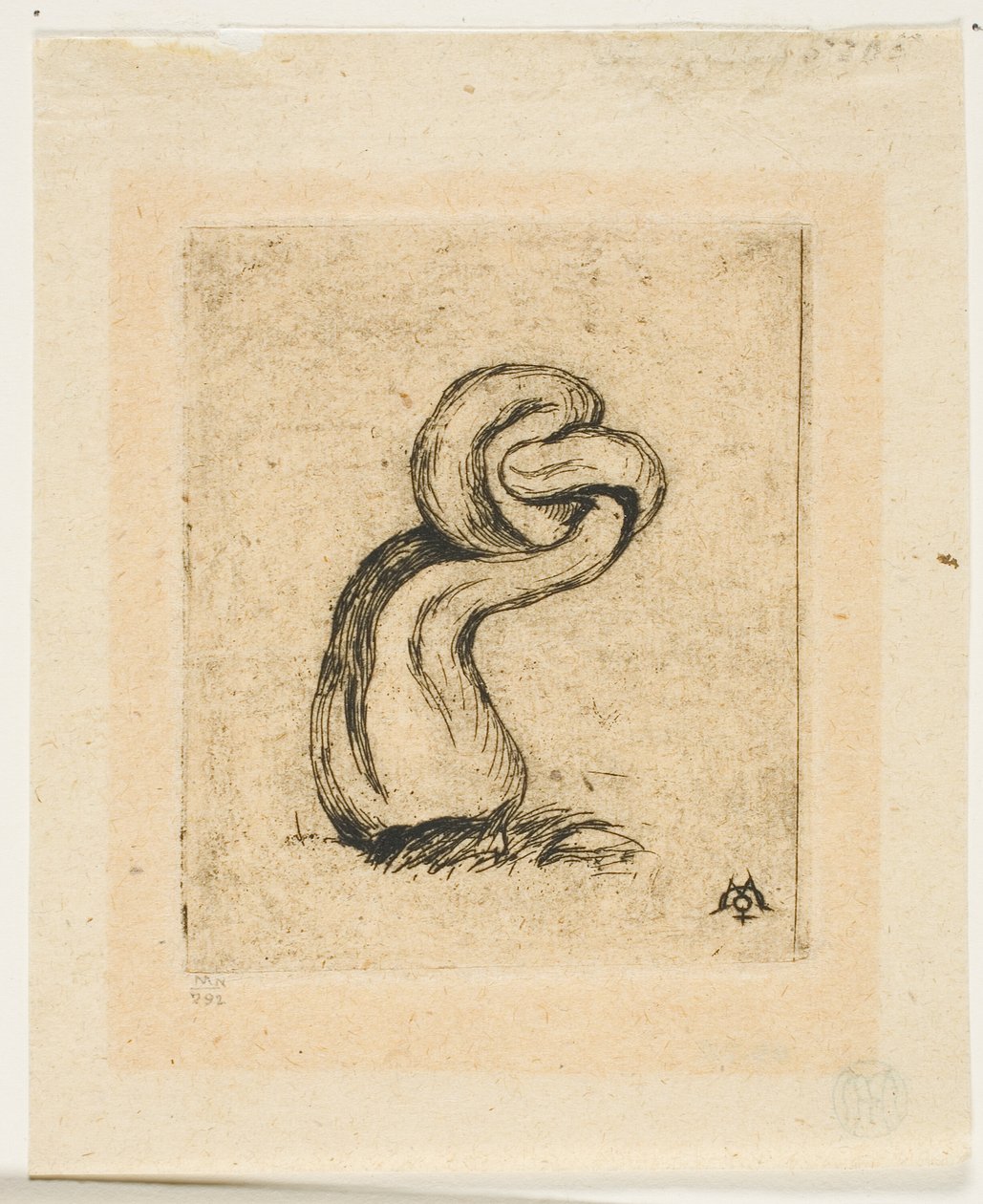 De Zieke Cryptogam door Charles Meryon
