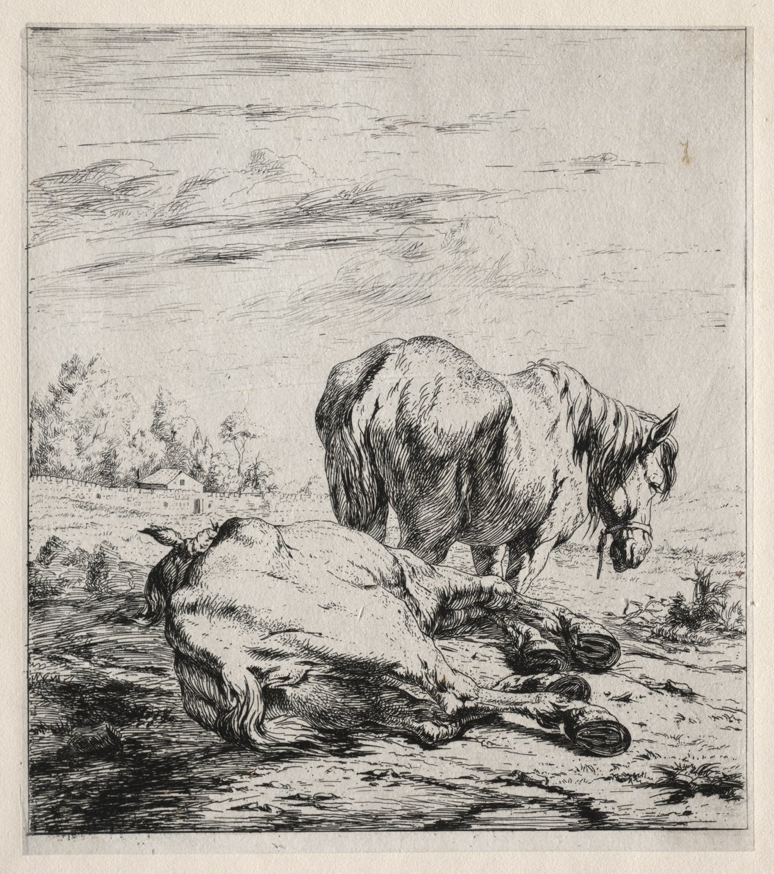 De twee paarden door Charles Meryon