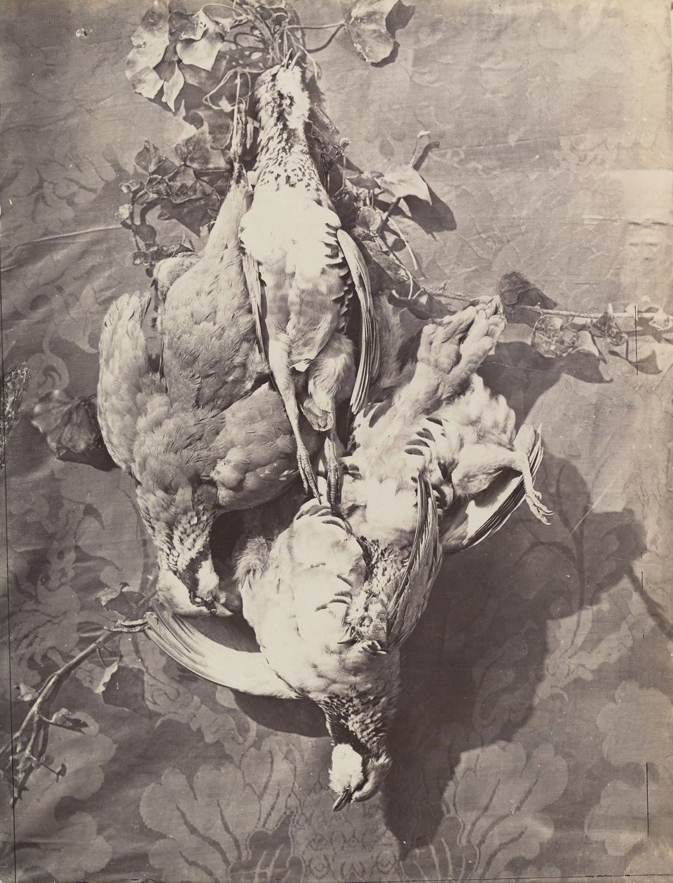 Stilleven met wildvogels door Charles Nègre