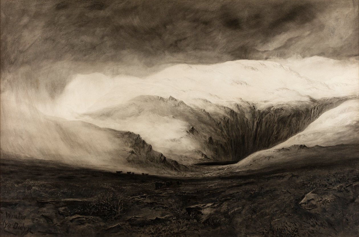 Winter, Llyn Dulyn door Charles Potter