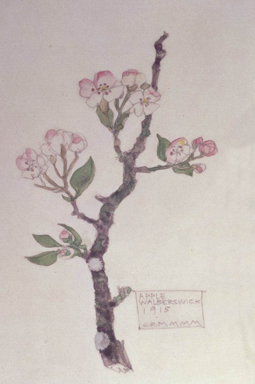 Appel, Walberswick, 1915 door Charles Rennie Mackintosh