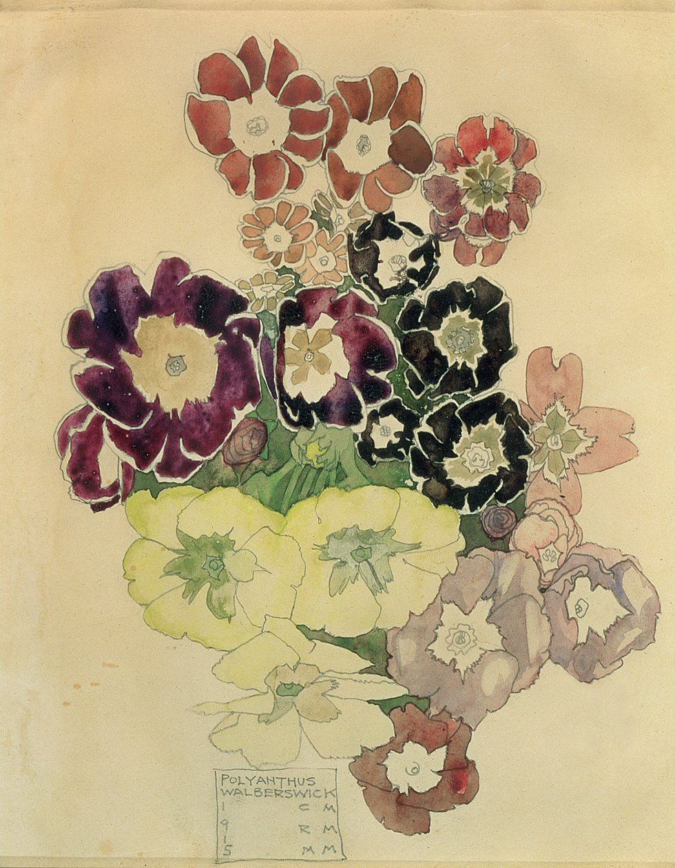 Polyanthus, Walberswick, 1915 door Charles Rennie Mackintosh