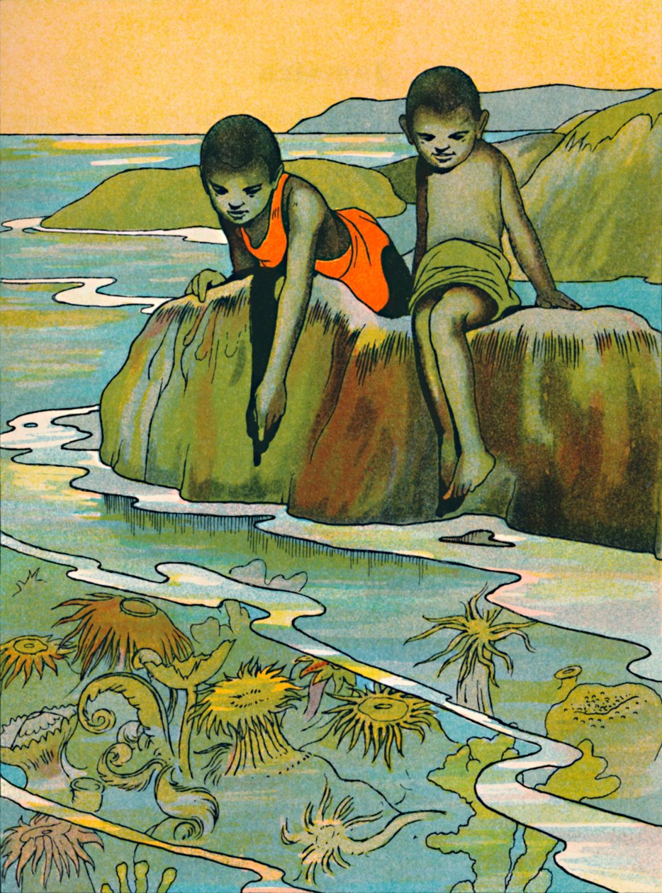 Een tuin in de zee, 1912 door Charles Robinson