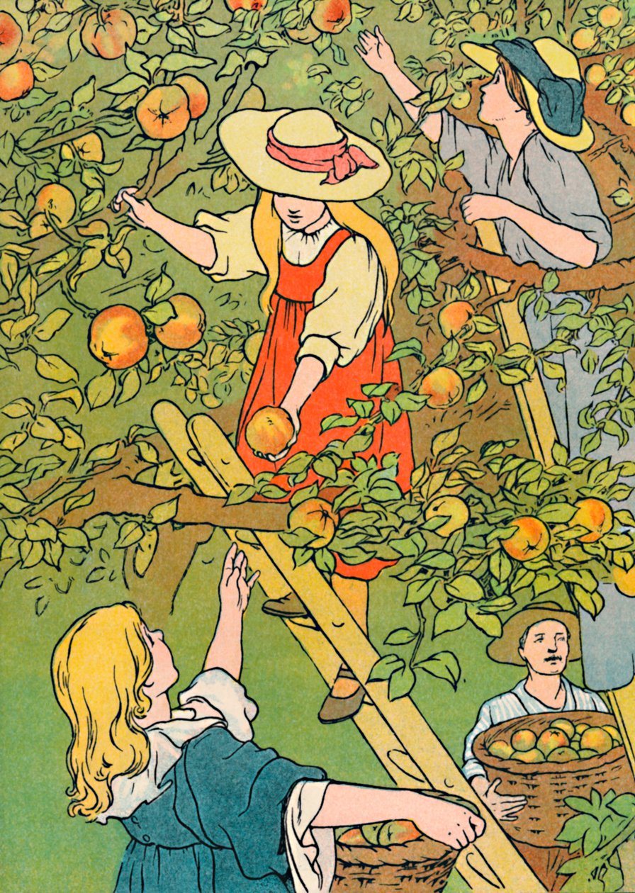 Het plukken van het fruit, 1912 door Charles Robinson