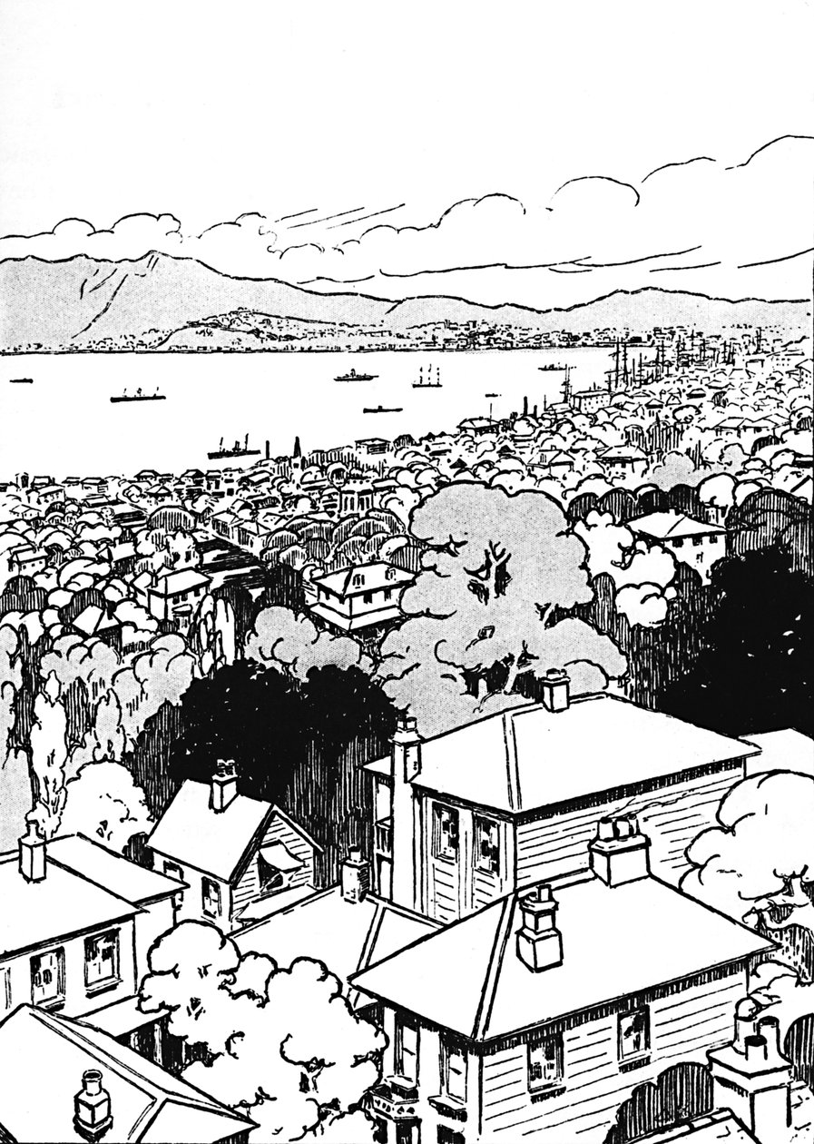 Wellington, 1912 door Charles Robinson